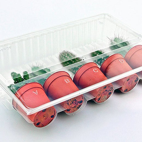 Paket für Versandbestellungen für 5 Töpfe oder Stecker ø55x60mm (konisch).
