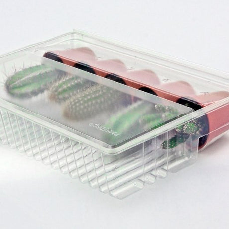 Pacco per ordine per corrispondenza per 5 vasi o plug ø55x60mm (conico) - Confezione da 100 pz