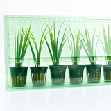 Pacco per ordine per 6 tappi ø55x60mm (conico).