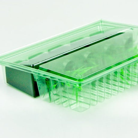 Pacco per ordine postale per 5 tappi 40x40x70mm (conico) - Confezione da 200 pz