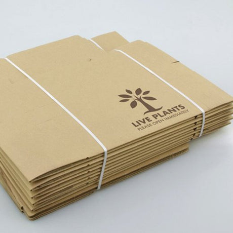 Scatola di cartone 335x107x275mm - Confezione da 50 pz