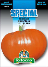 Graines de Tomate Ponderosa sélection Silano F1 - L'Ortolano