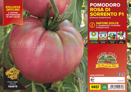 Tomate géante de Sorrente Rosalinda F1 - 1 plant 10 cm - Orto Mio