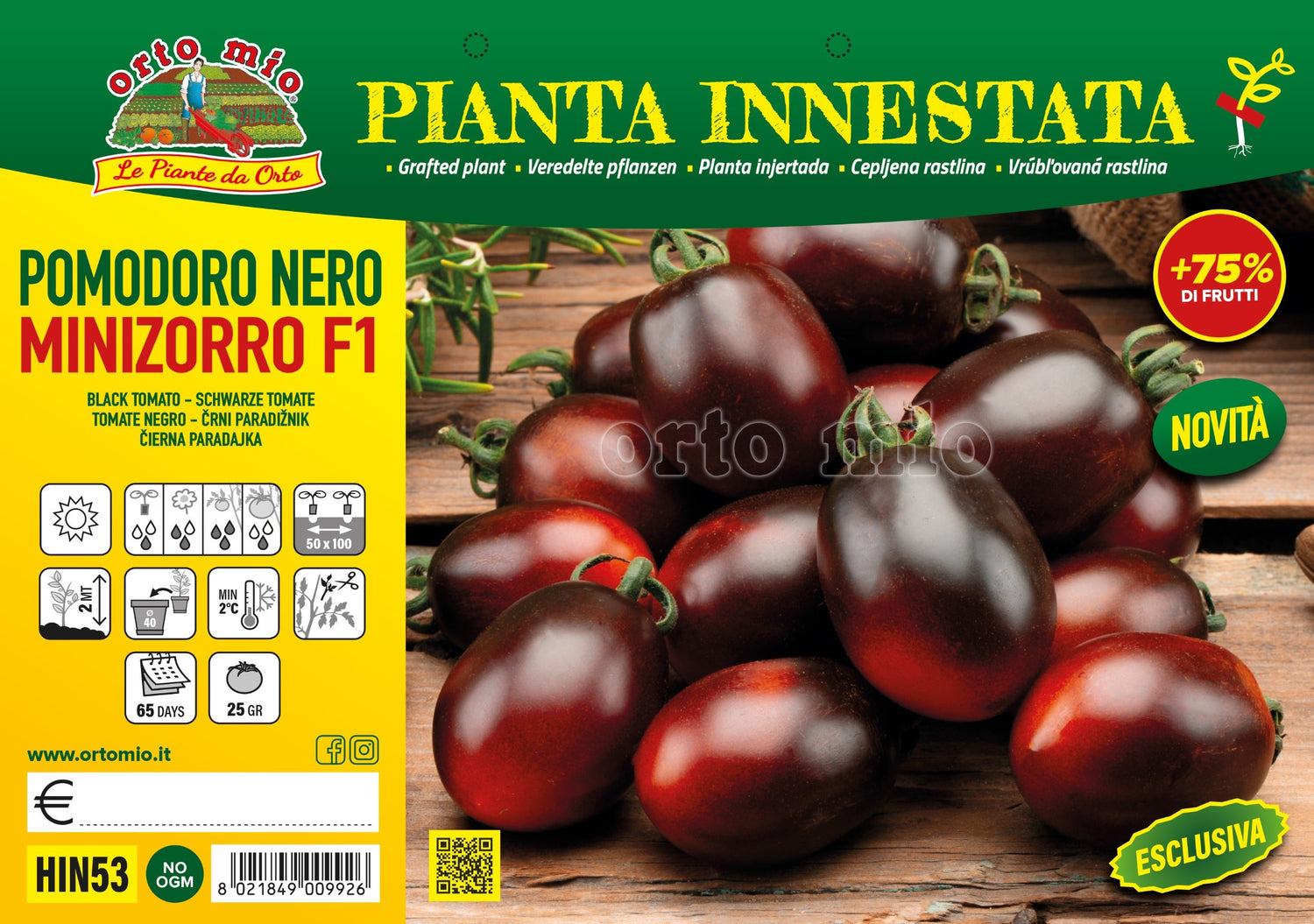 Pomodoro Datterino nero var. Minizorro F1 - 3 formati di piante