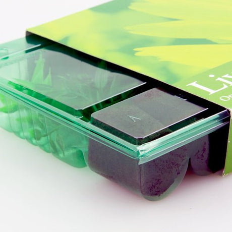 Pacco per ordine postale per 6 tappi ø38x50mm - Confezione da 250 pz