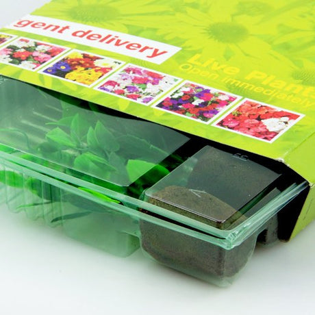 Pacco per ordine postale per 6 tappi ø38x50mm - Confezione da 200 pz