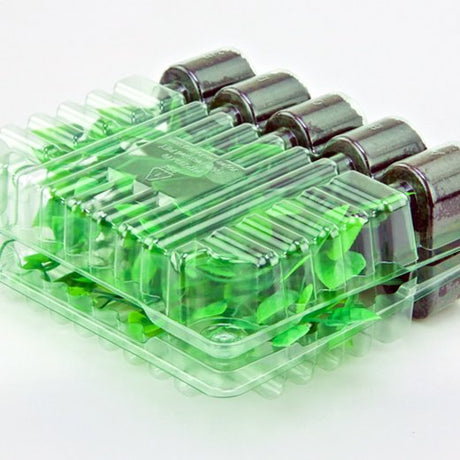 Pacco per ordine postale di 10 tappi (2x5) ø30x35mm - Confezione da 350 pz