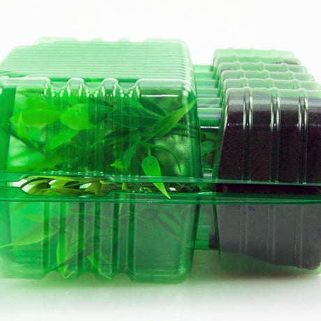 Pacco per ordine postale di 12 tappi (2x6) ø38x50mm - Confezione da 200 pz