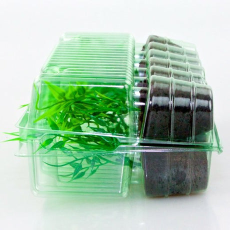Pacco per ordine postale per 12 tappi ø50x50mm (conico) - Confezione da 150 pz