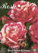 Rosa cespuglio Imperatore - Rosso Bianco - v.15 x 15 cm Apice piante