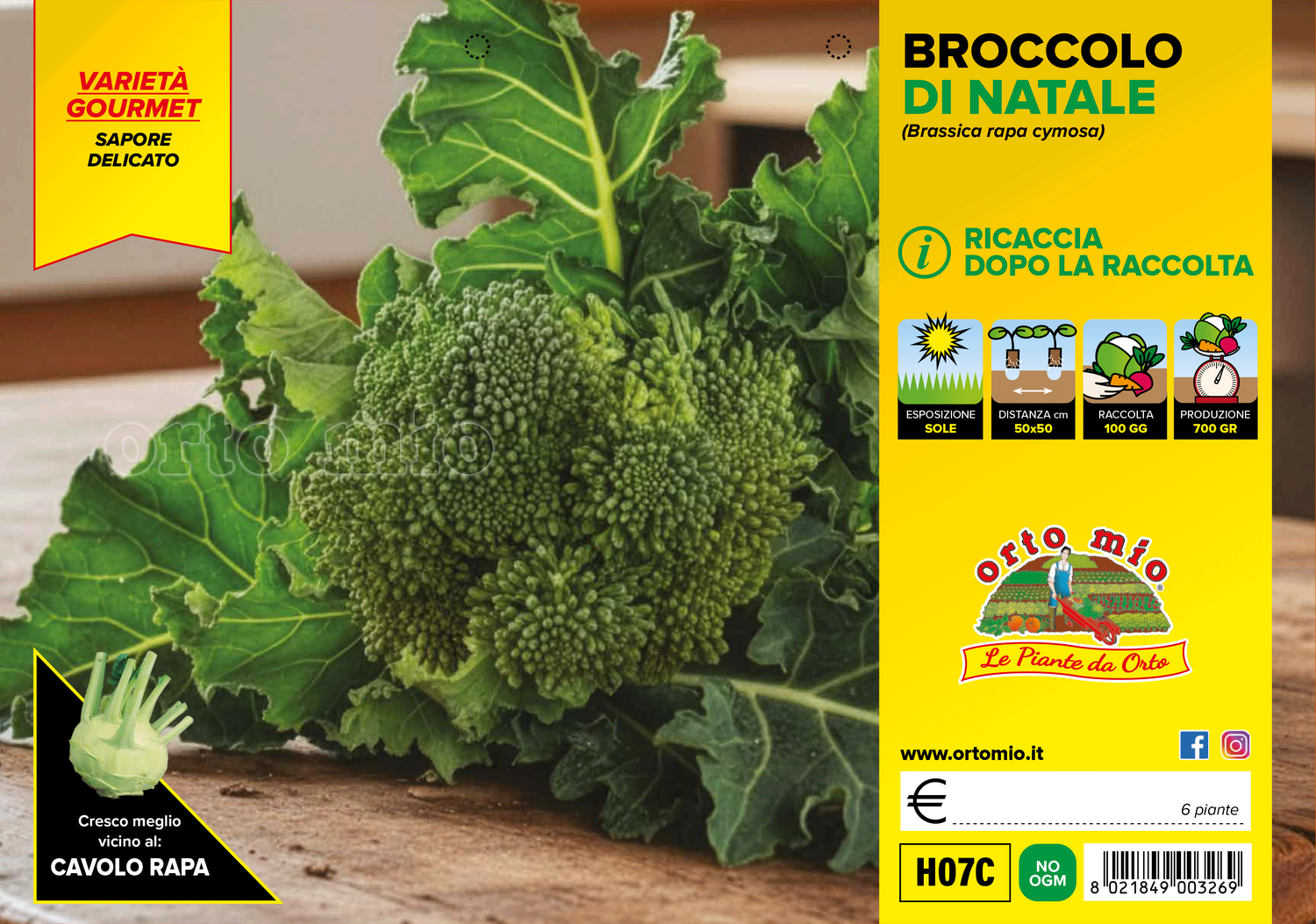 Cavolo Broccolo Broccolo di Natale (100 giorni) - 6 piante - Orto Mio