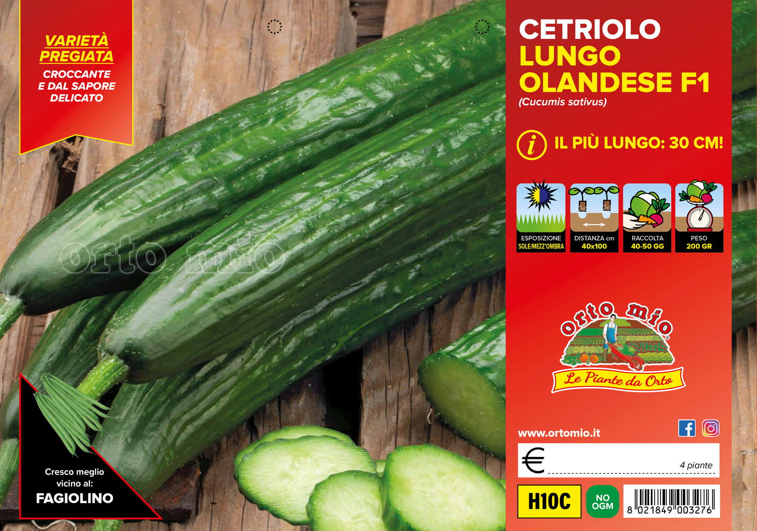 Piante di Cetriolo Lungo Olandese (30-35 cm)