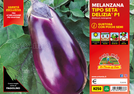 Melanzana siciliana Seta var. Seta F1 - Orto Mio