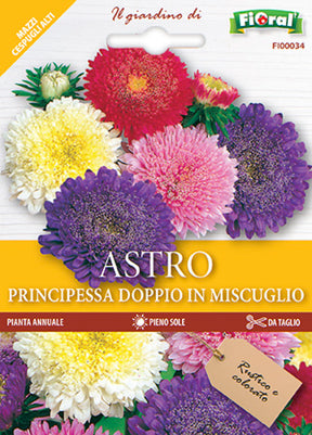 Semi Astro Principessa Doppio In Miscuglio Fioral