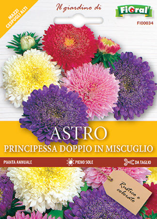 Semi Astro Principessa Doppio In Miscuglio Fioral