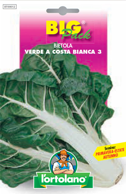 Semi Bietola Verde A Costa Bianca 3 L'Ortolano