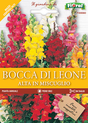 Semi Bocca DI Leone Alta In Miscuglio Fioral