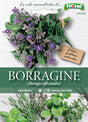 Semi Borragine Comune Fioral