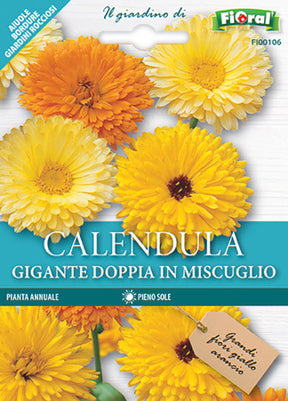 Semi Calendula Gigante Doppia In Miscuglio Fioral