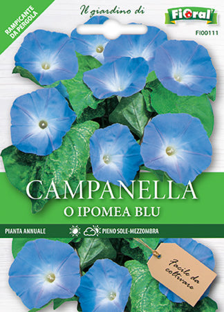 Semi Campanella O Ipomea Blu Fioral