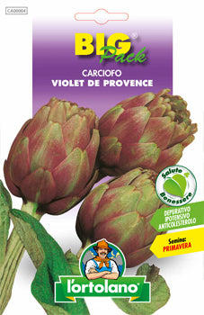 Semi Carciofo Violet De Provence L'Ortolano