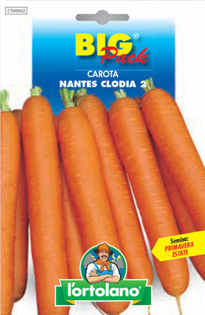 Semi Carota Nantes Clodia 2 L'Ortolano