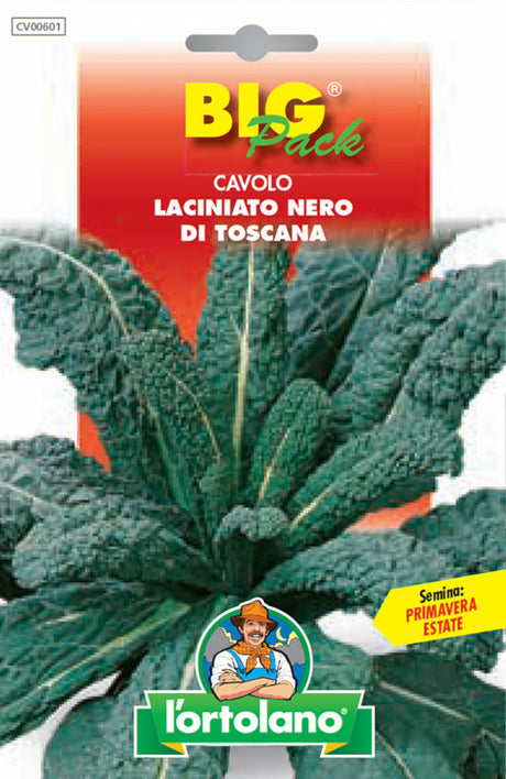 Semi Cavolo Laciniato Nero Di Toscana L'Ortolano
