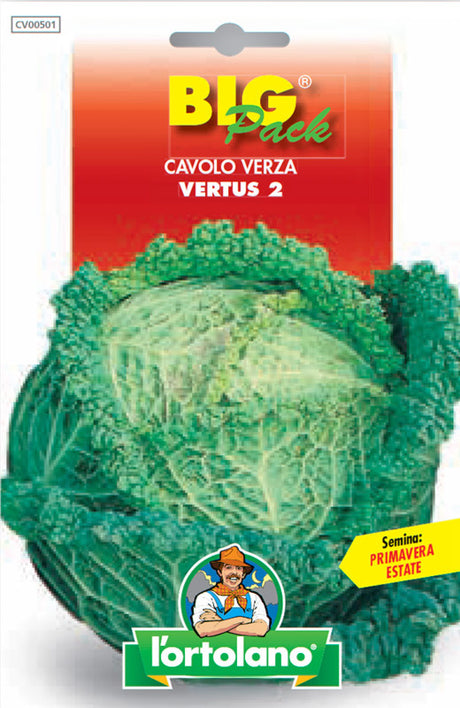 Semi Cavolo Verza Vertus 2 L'Ortolano