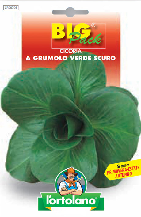 Semi Cicoria A Grumolo Verde Scuro L'Ortolano