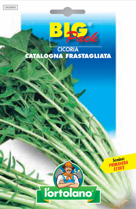 Semi Cicoria Catalogna Frastagliata L'Ortolano