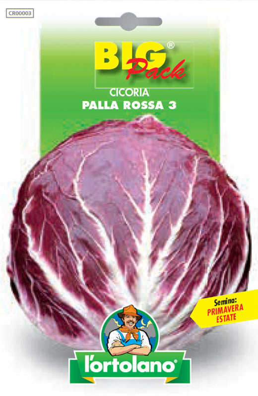 Semi Cicoria Palla Rossa 3 L'Ortolano