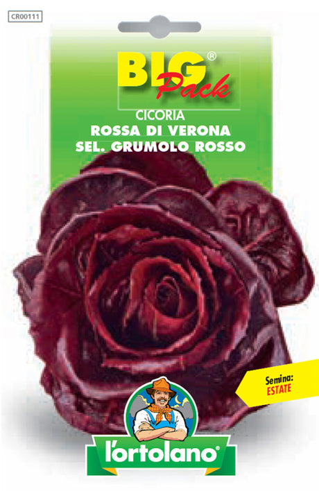 Semi Cicoria Rossa Di Verona Sel. Grumolo Rosso L'Ortolano