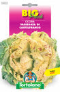 Semi Cicoria Variegata Di Castelfranco L'Ortolano