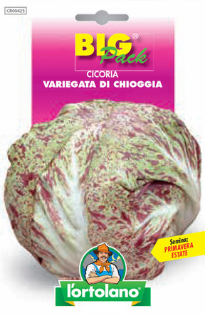 Semi Cicoria Variegata Di Chioggia L'Ortolano