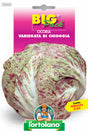 Semi Cicoria Variegata Di Chioggia L'Ortolano