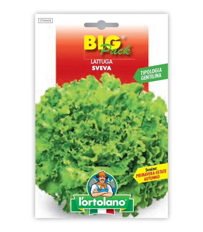 Rucola Selvatica Letizia - 9 Piante - Orto Mio - Foto 11