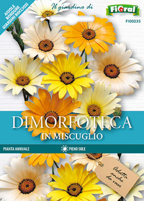 Semi Dimorfoteca In Miscuglio Fioral