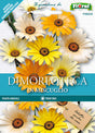 Semi Dimorfoteca In Miscuglio Fioral