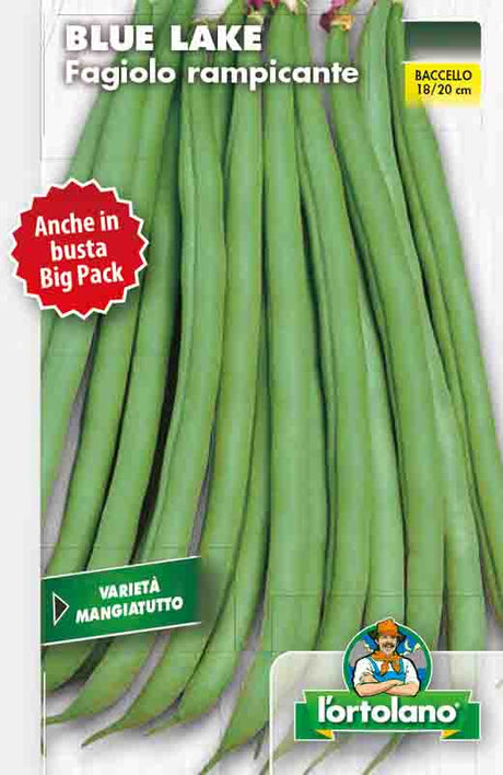 Semi Fagiolo Rampicante Blue Lake L'Ortolano
