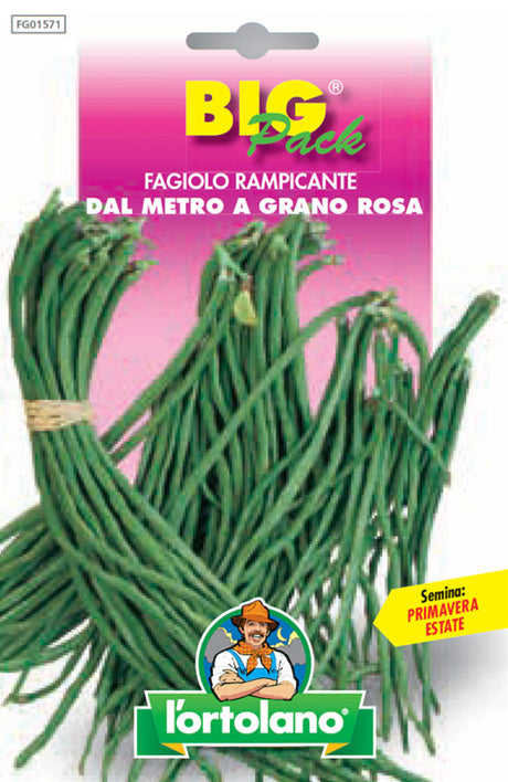 Semi Fagiolo Rampicante Dal Metro A Grano Rosa L'Ortolano