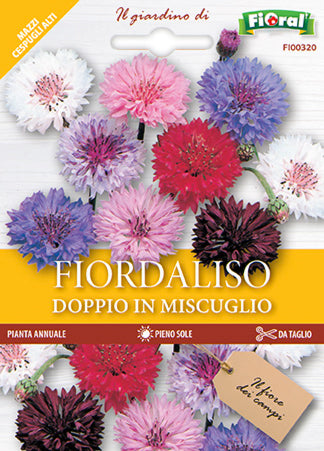 Semi Fiordaliso Doppio In Miscuglio Fioral