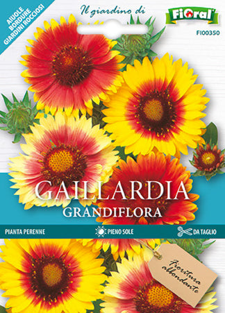 Semi Gaillardia Grandiflora Fioral
