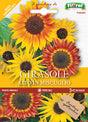 Semi Girasole Alto In Miscuglio Fioral