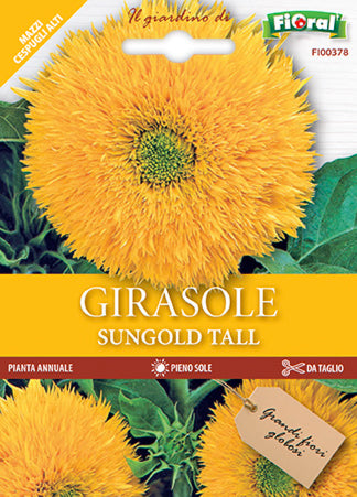 Semi Girasole Sungold Tall Fioral