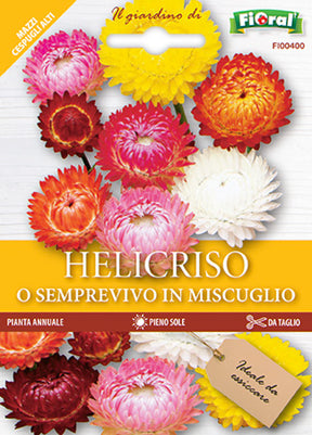 Semi Helicriso O Semprevivo In Miscuglio Fioral