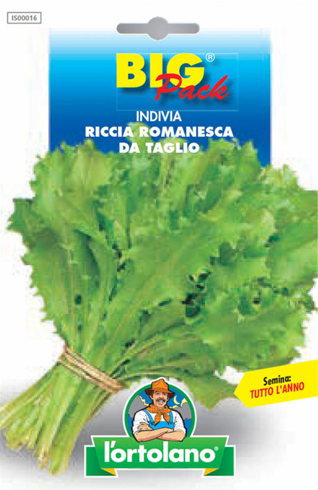 Semi Indivia Riccia Romanesca Da Taglio L'Ortolano