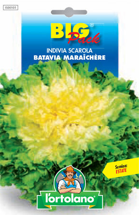 Semi Indivia Scarola Batavia Maraîchère L'Ortolano