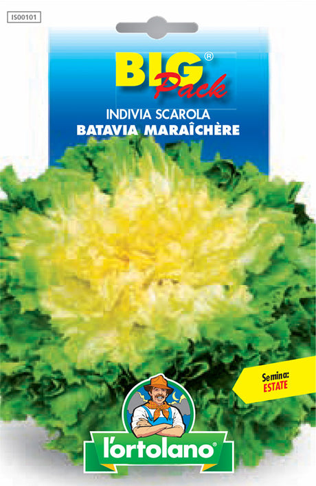 Semi Indivia Scarola Batavia Maraîchère L'Ortolano