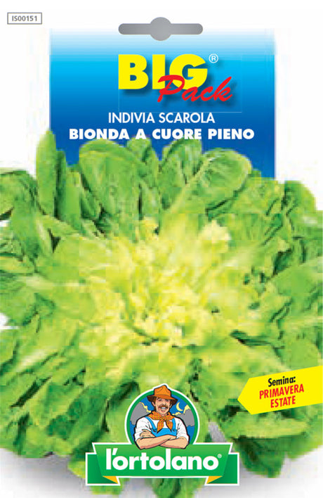 Semi Indivia Scarola Bionda A Cuore Pieno L'Ortolano