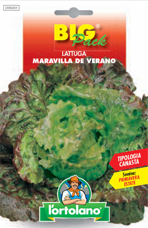 Semi Lattuga Maravilla De Verano L'Ortolano